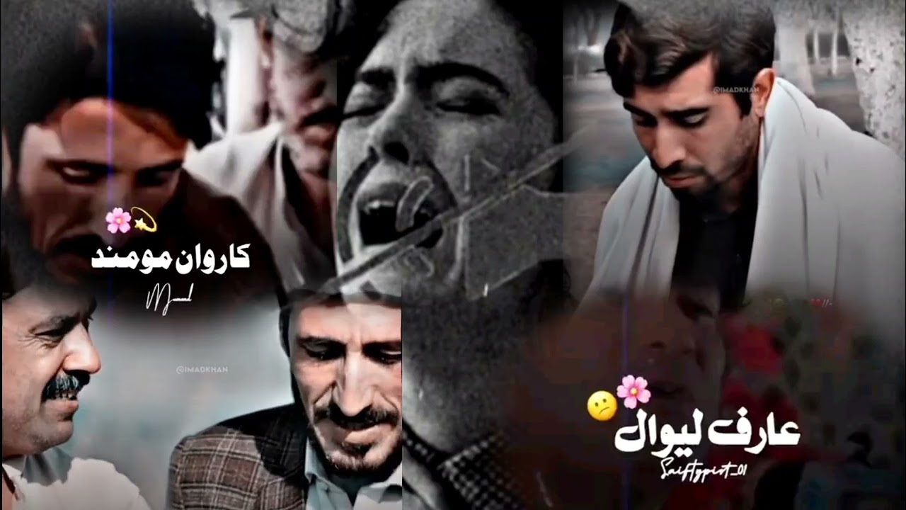 TikTok..most viral pashto poetry viral poetryPashto viral shayeri.irfankhan..