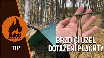 Proč hořká chuť zlepšuje trávení?