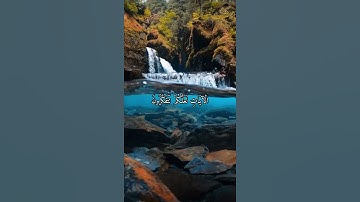 واتس اب قران كريم القارئ ياسر دوسري (سوره البقرة)