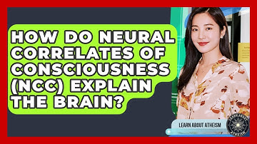 How Do Neural Correlates Of Consciousness (NCC) Explain The Brain? - Learn About Atheism