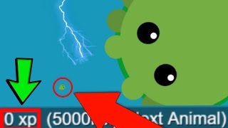 Splix.io private server play, Mope.io Hack