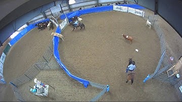 Big Sky Ranch Sorting Saddle Series #4 - YOUTH RANCH HAND - Round #1 - Ride #28