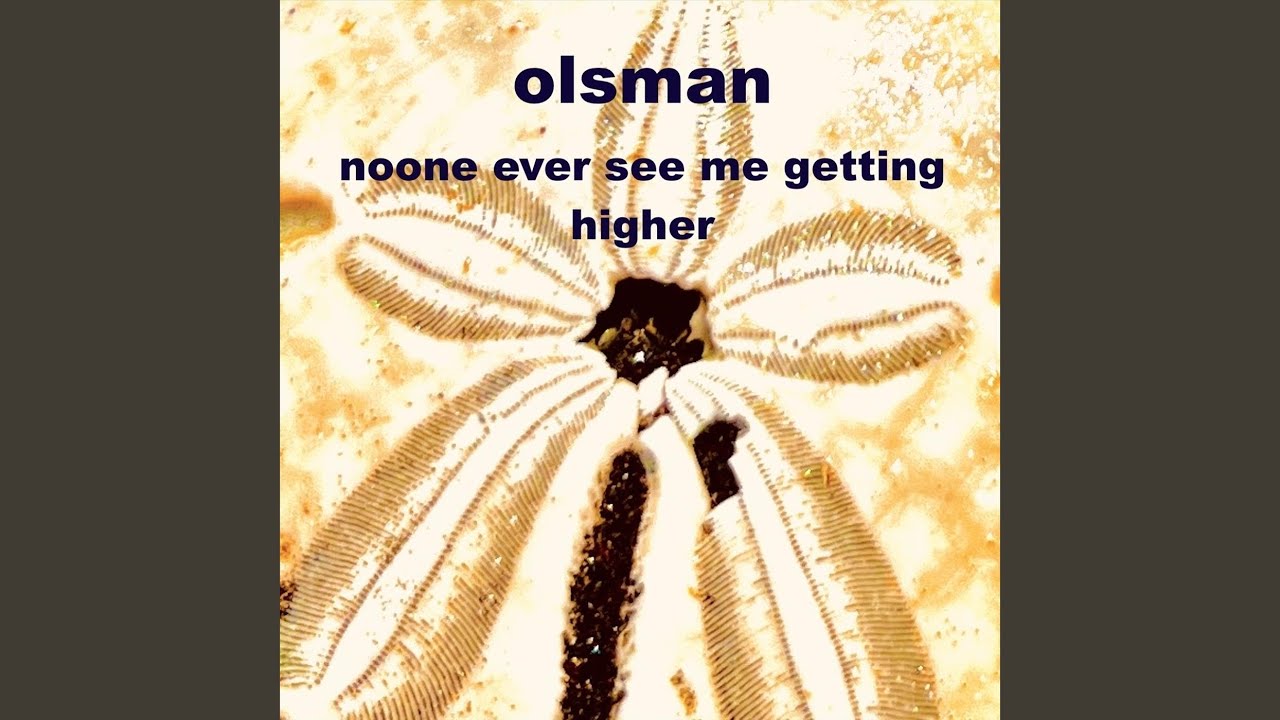 Noone Ever See Me Getting Higher