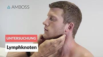 Wie werden die Lymphknoten untersucht?