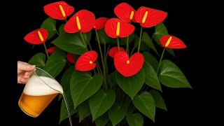 : Just 1 Cup a Week  Keep Your Flowers Blooming All Year