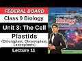 Chapter 3 The Cell | Chloroplast, Chromoplast & Leucoplasts | Class 9 Biology Federal Board 2025