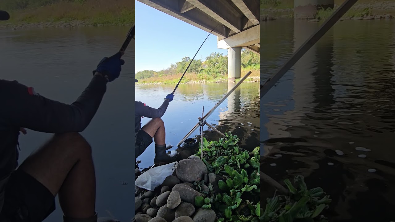 Клёв есть!!!! 