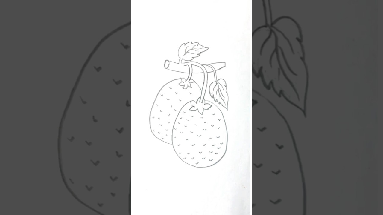 How to draw a Lychee 