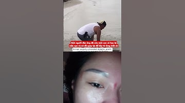 người đàn ông đã cứu một con cá heo bị mắc cạn và nó đã quay lại để bày tỏ lòng biết ơn #animals