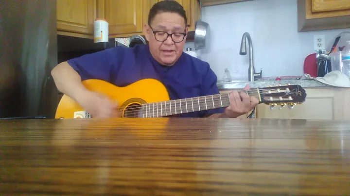 Tear in my Beer cover song by Rippy