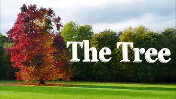 The Tree