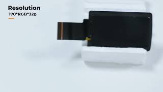 1.9” TFT LCD Display | IPS Full Viewing Angle | 170×320 Resolution | Kingway