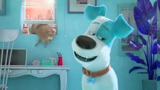 Chloe Vs Window Hilarious Struggle Retro Toon Clips