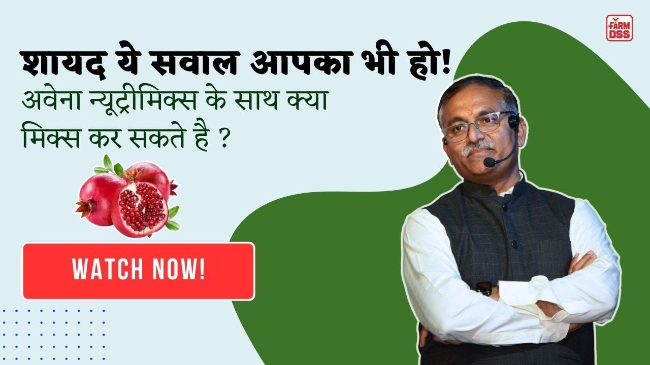 अवेना न्यूट्रीमिक्स के साथ क्या  मिक्स कर सकते है ? @BTGore