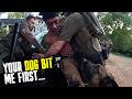 He Bit a Police K-9 at a Drug Raid He Had Nothing to Do With! | Full Bodycam