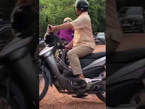 Video Khi ngoại thuần hoá cá mập con YAZ ???? #winner #yaz... - youtube