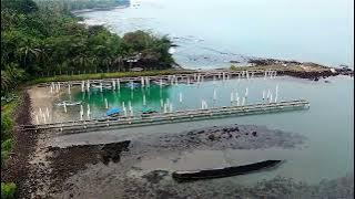 Moonlight pt 2 – Roa   -  No Copyright Music