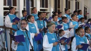 Aclamação ao evangelho. Aleluia, Aleluia é Jesus que vai falar.