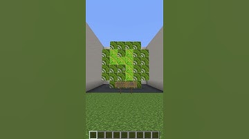 Colorblind Test in Minecraft #shorts