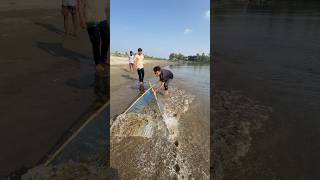 New ideas or information on a topic. #shaplafishing #fishing #safanafishing #shal #shadrap