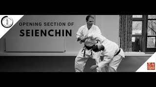 Seienchin/ Seiyunchin - Opening Oyo Bunkai