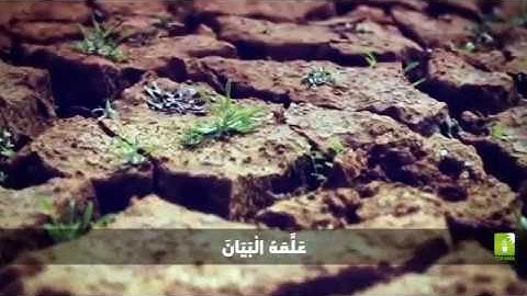 مقطع من سورة الرحمن بصوت خرافي | نبيل شعيل