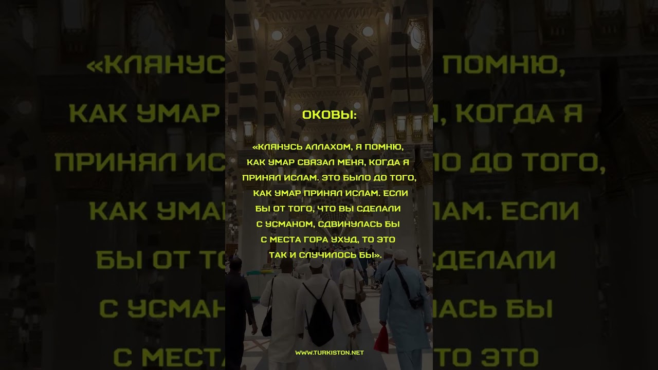 Стойкость на пути истины