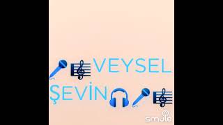 Dost Bulamadım Karaoke Veysel Feat Şevin