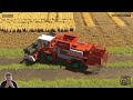 Insane Wheat Harvest in FS25! Massive Machines at Work