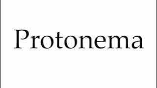 How to Pronounce Protonema