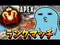 【APEX】ボーダーと追いかけっこしてる　ＳＢＩの方々→ピンキーさん、みけさん