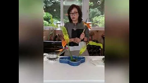 Online Demonstration by Cindy Cannon (Ikebana)