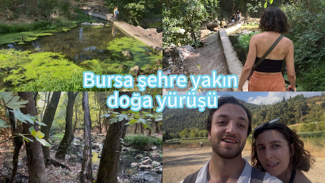 Şehrin Ortasındaki ORMAN (BURSA) 