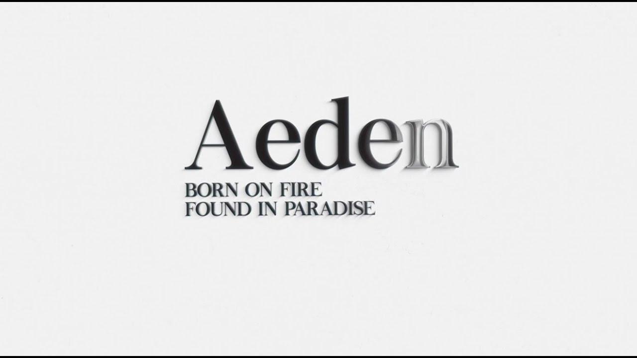 Aeden Video Presentation