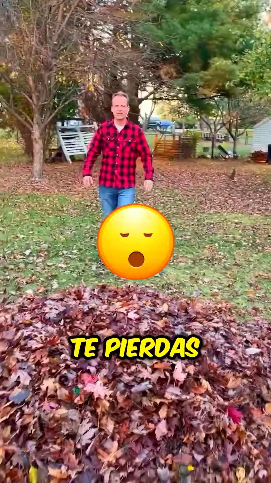 ¡El papá fue engañado por sus hijos! ??