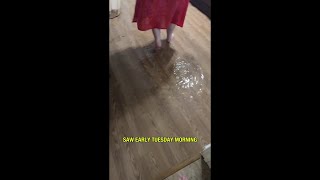 Spring families forced from home after floodwaters rush inside during heavy rain