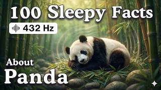The Most Relaxing Facts About Panda  For Deep Sleep screenshot 4