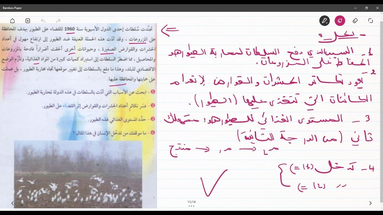 علوم طبيعية الثانية متوسط وضعية ادماجية على اختلال النظام البيئي
