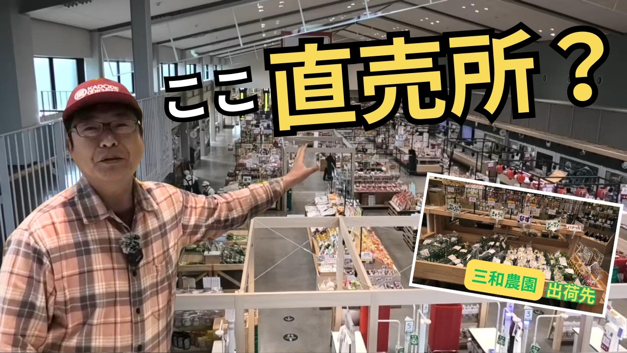 農家が出荷している直売所が凄すぎた…お茶16種類飲み比べできる施設・KADODE OOIGAWA（20246.3.7）