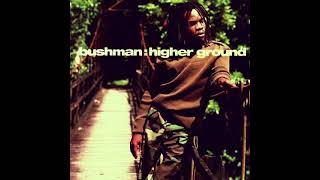 Bushman - Never Have It Easy