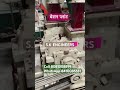 Besan Plant #machine #viral #viralvideo #viralshorts #ytshorts #shortsfeed #trending #india
