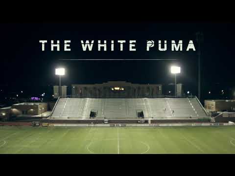 The White Puma - intro (TV2 Play)