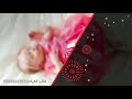 شيلة الماسه الغويري كلمات الثريا اداء صوت العرفا