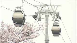 横浜にロープウェー登場！みなとみらい地区を一望(2021年4月2日)