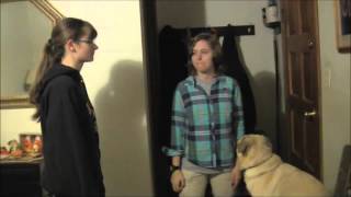 German101 Final Project