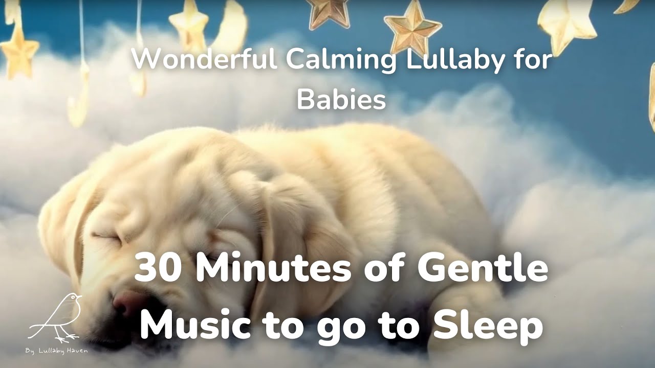 Wonderful Calming Lullaby for Babies 💫💤|30 Minutes of Gentle Music to go to Sleep 😴🤍