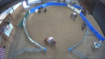 Big Sky Ranch Sorting Saddle Series #4 - #8 HC RANCH HAND (2 CAP SORTER) - Round #2 - Ride #1