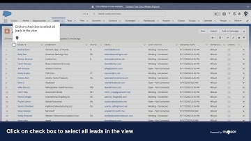 How to send customized mass email to leads in Salesforce