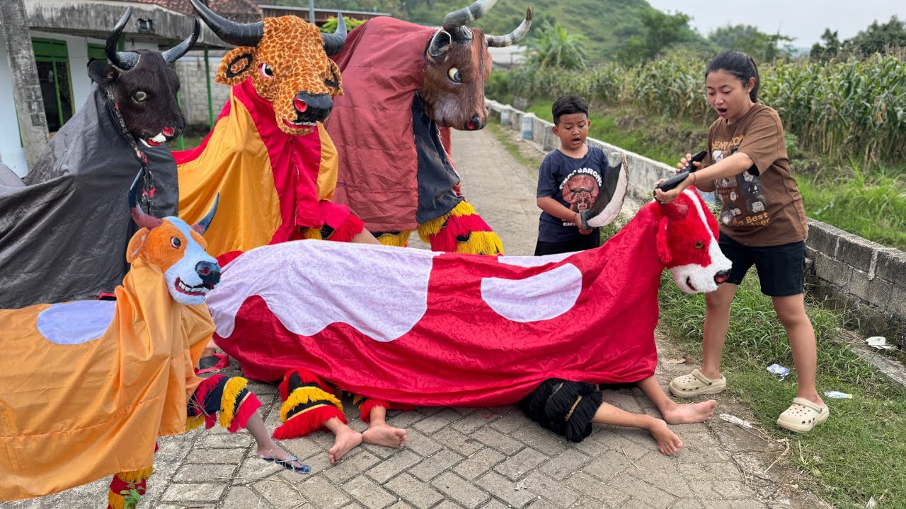 Drama lucu ngakak pool | SAPI KURBAN DIPOTONG BERUBAH MENJADI DUA BANTENGAN BEROT 