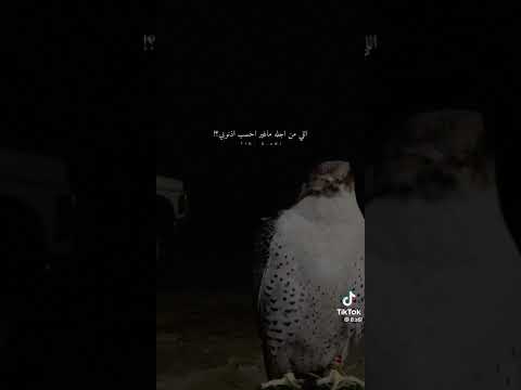 لعل رب جمع يوسف ويعقوبي